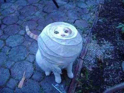 思わず保存した画像