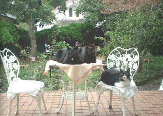 【閲覧注意？】不思議な写真をもってませんか？