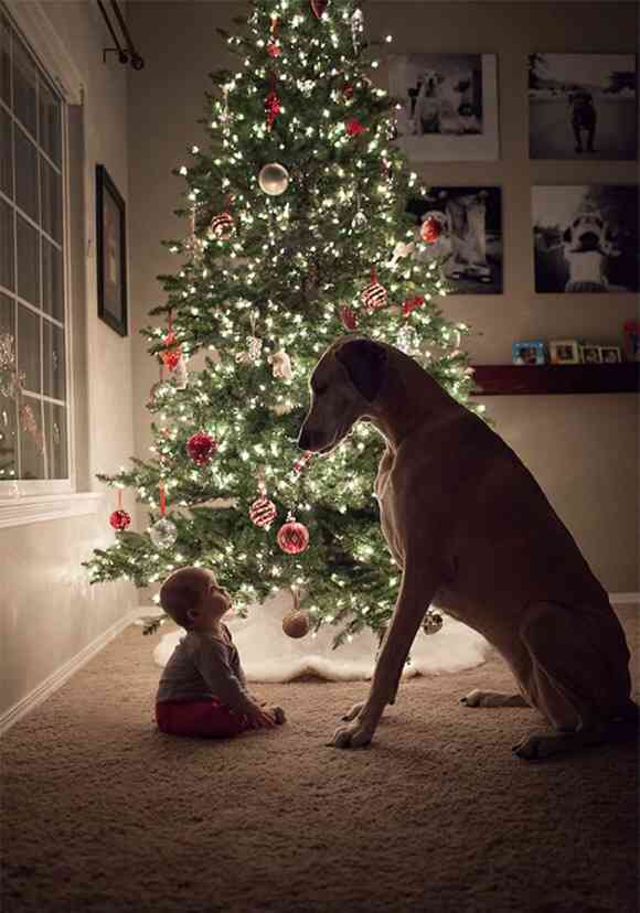 クリスマスの壁紙を貼るトピ