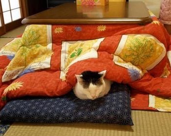 あなたにとって最強のタッグは？