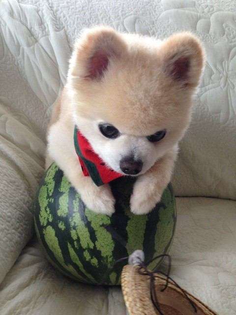世間的に○○って言われてるけど納得いかない芸能人