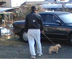 犬の散歩