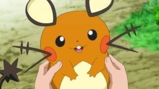 好きなポケモンは?