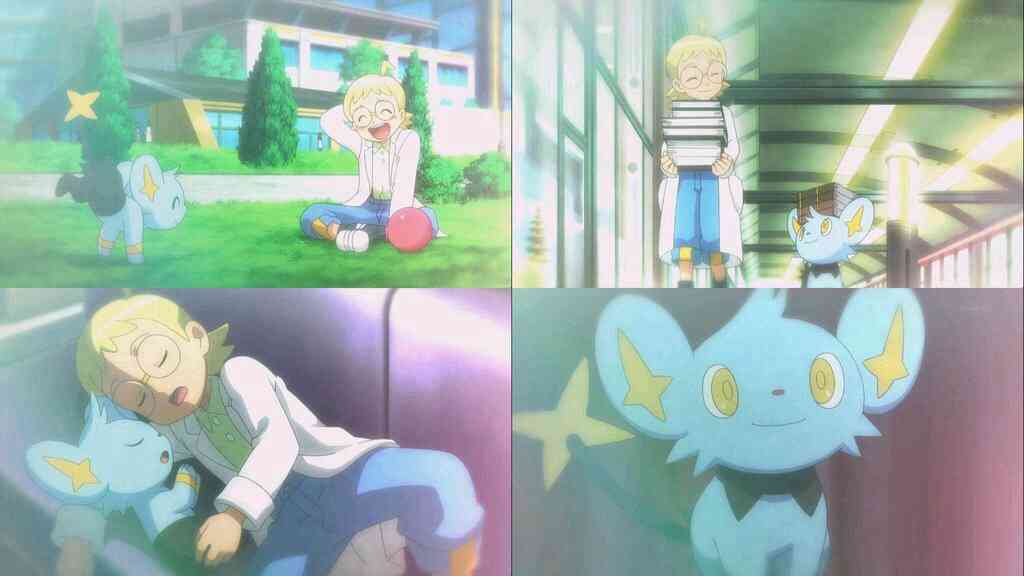 好きなポケモンは?