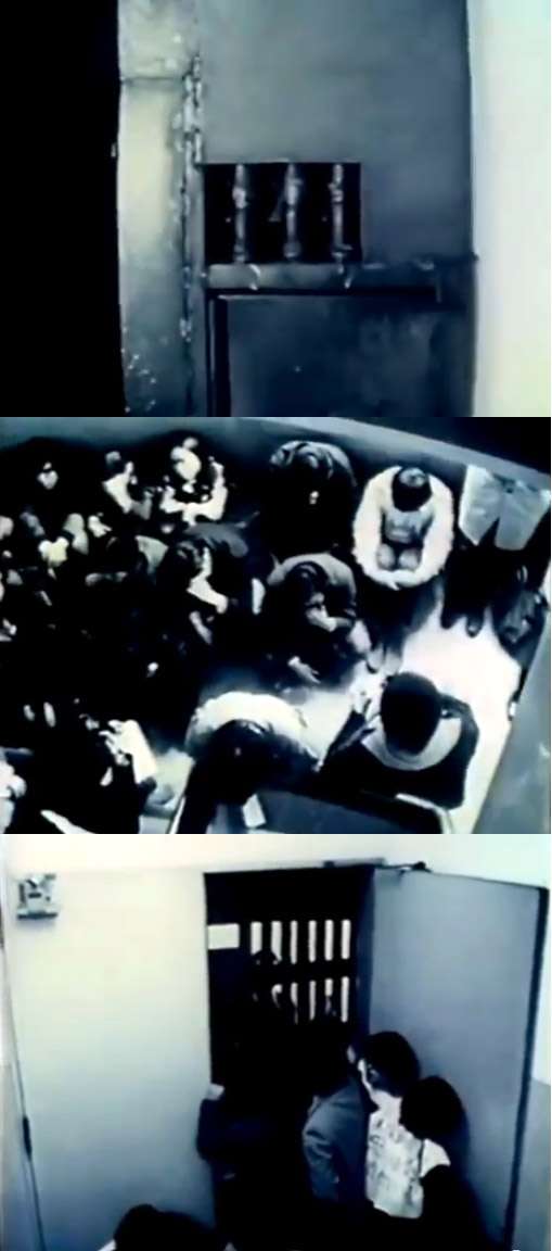 皇室について語ろう