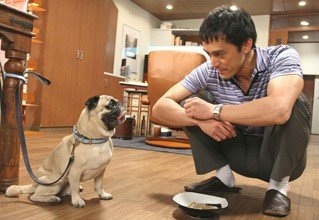 ドラマ『結婚できない男』みてた方
