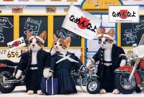 昔集めてた物。