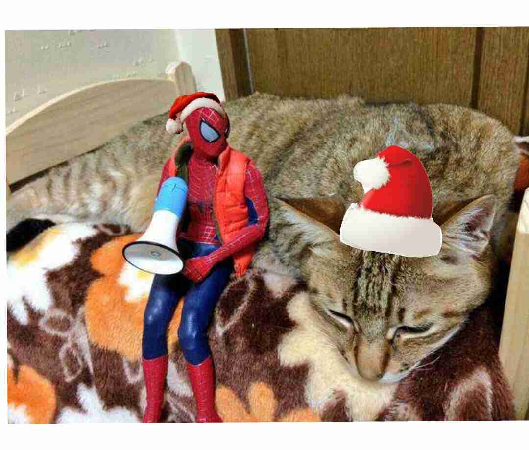 フィギュアdeクリスマス＆お正月