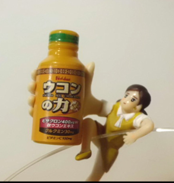 フィギュアdeクリスマス＆お正月