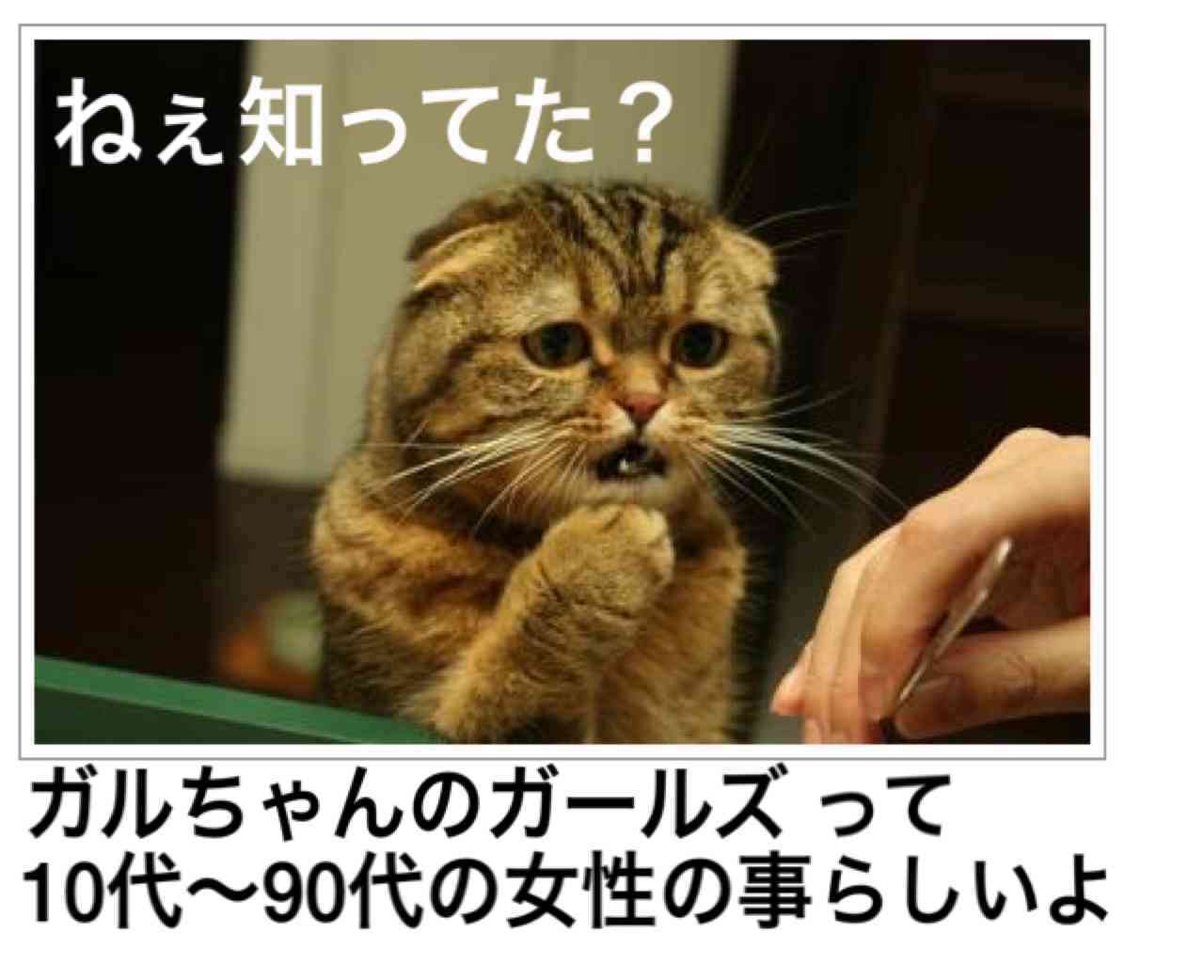 ガルちゃんから得た知識で一番役立ったこと