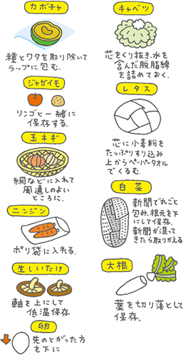 ガルちゃんから得た知識で一番役立ったこと