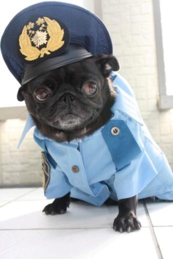 可愛い制服の画像を貼っていくトピ♪♪