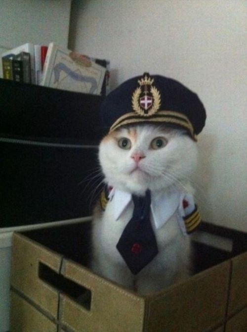可愛い制服の画像を貼っていくトピ♪♪