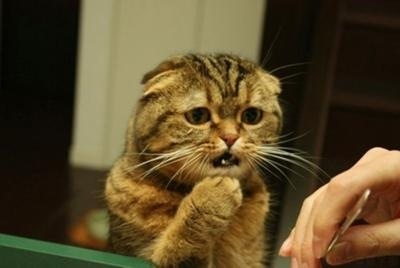 生理痛よりも排卵痛のがひどい方