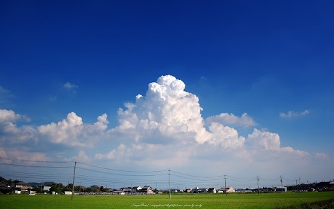 何月が一番好きですか?その訳は?