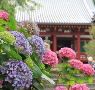 何月が一番好きですか?その訳は?