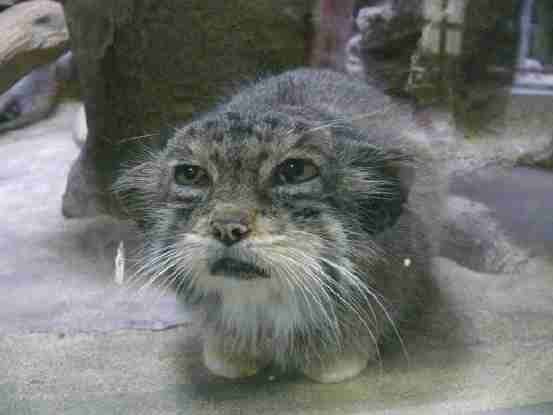 独特な顔立ちの方!