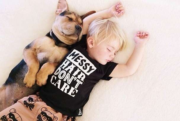 【年またぎ】見ると幸せな気分になれる画像を下さい！