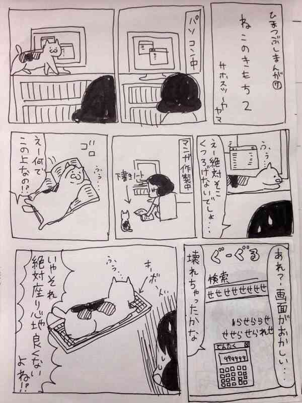 好きな猫の漫画やサイト教えて下さい！