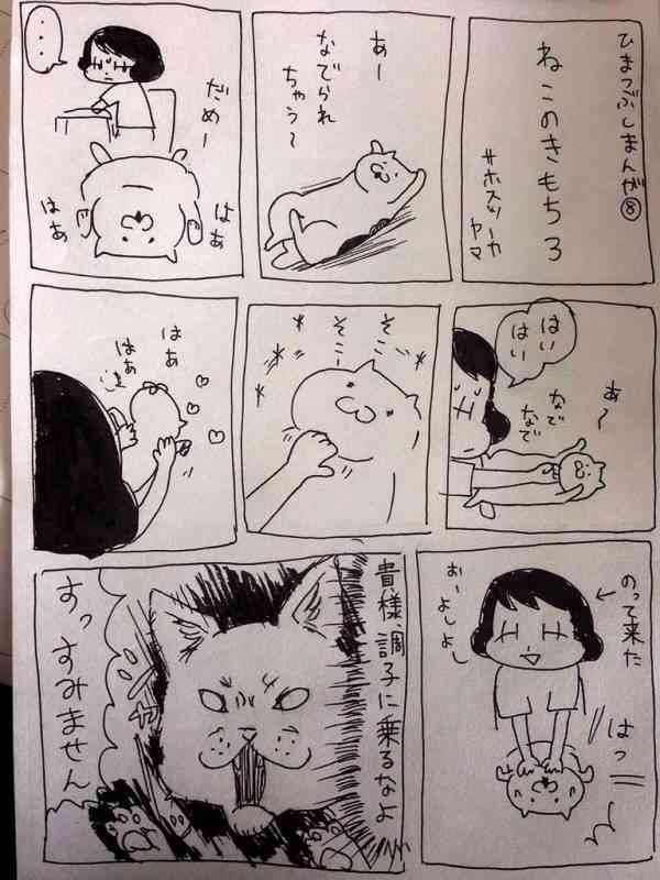 好きな猫の漫画やサイト教えて下さい！