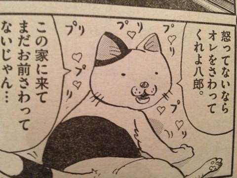好きな猫の漫画やサイト教えて下さい！