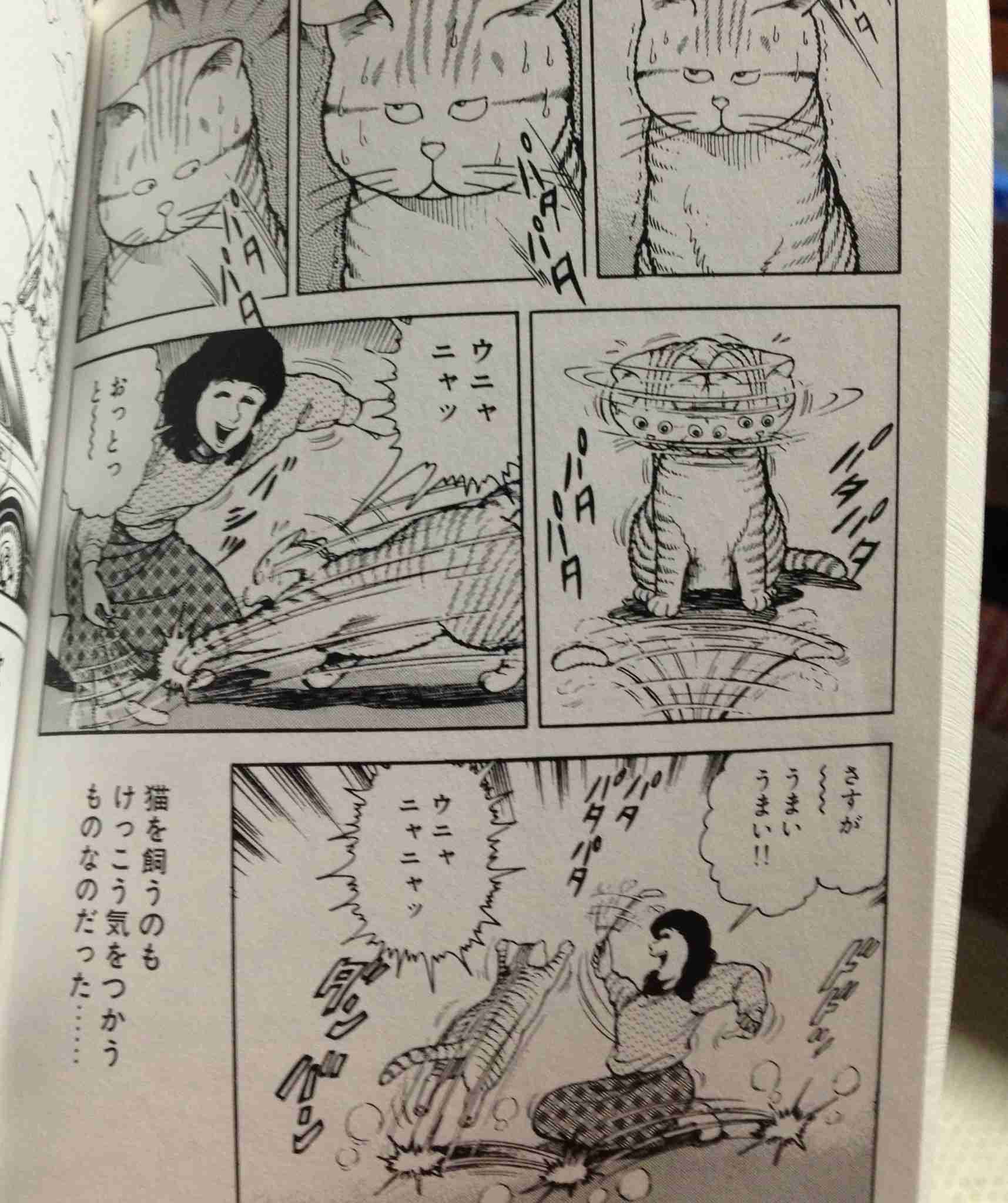 好きな猫の漫画やサイト教えて下さい！