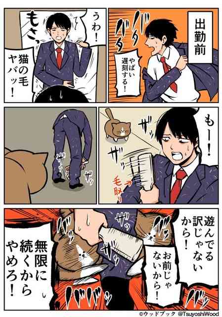 好きな猫の漫画やサイト教えて下さい！