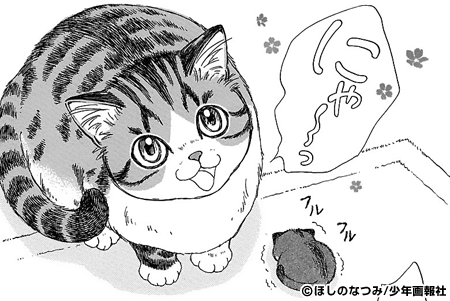 好きな猫の漫画やサイト教えて下さい！