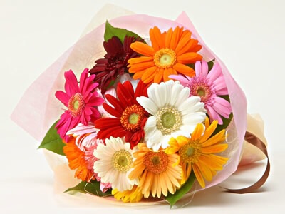 好きなお花は何ですか？
