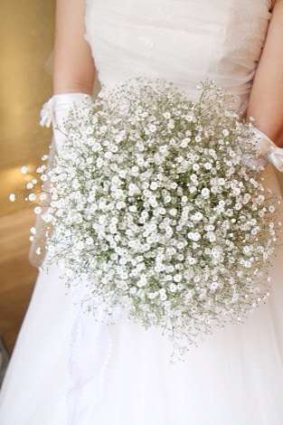 好きなお花は何ですか？