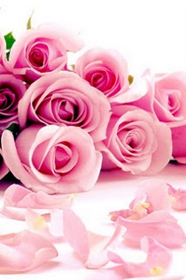 好きなお花は何ですか？
