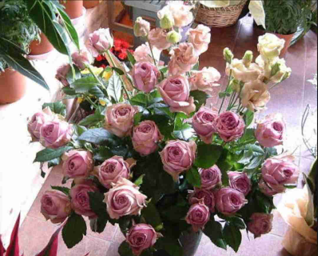 好きなお花は何ですか？