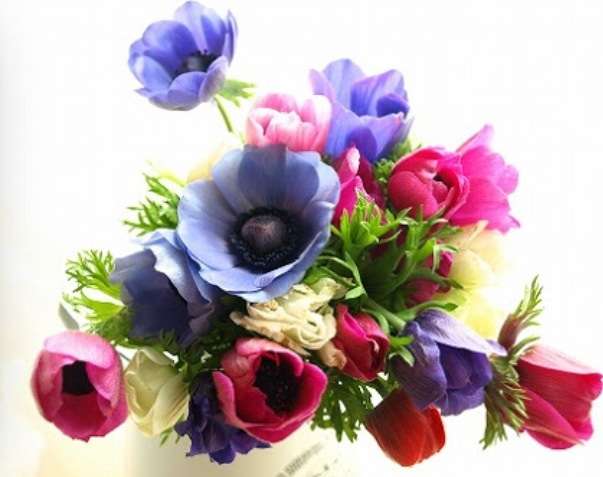 好きなお花は何ですか？