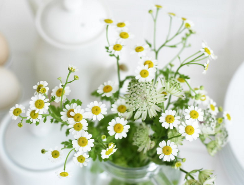 好きなお花は何ですか？