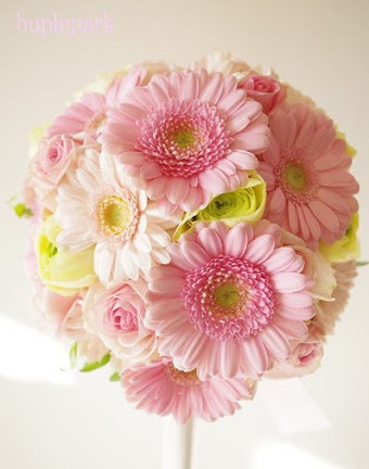 好きなお花は何ですか？