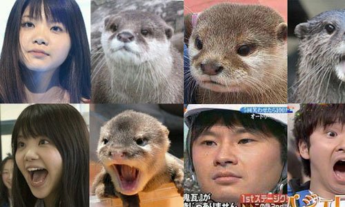 比較してみた結果