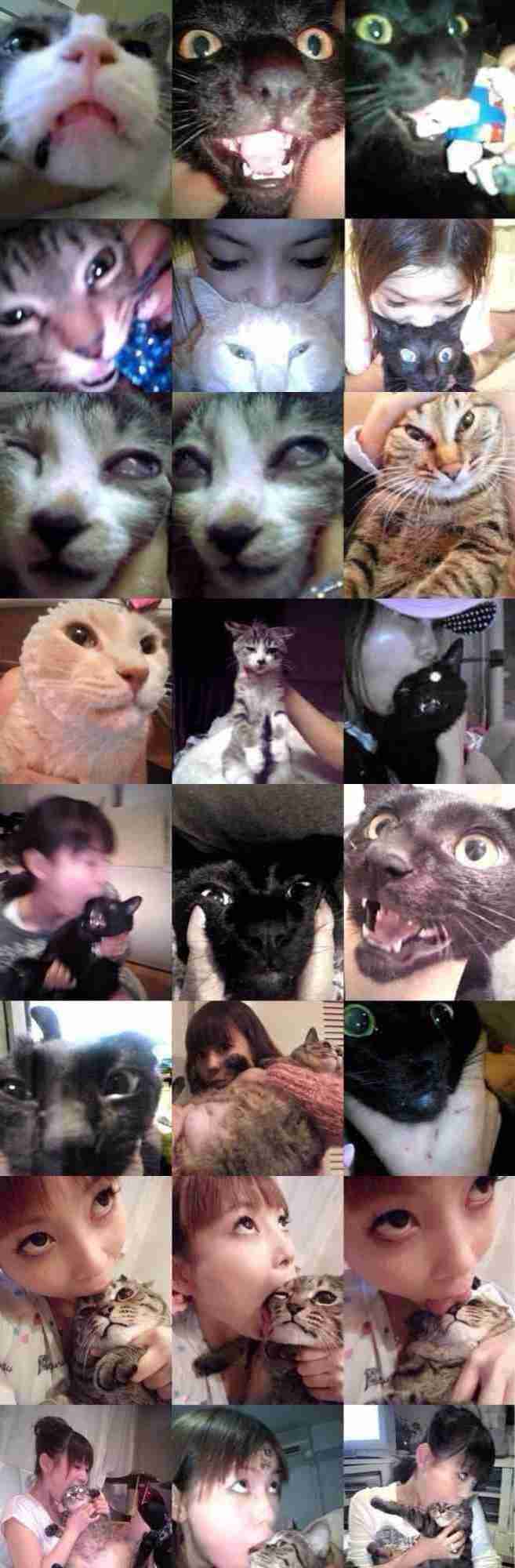 生理的に受けつけない芸能人