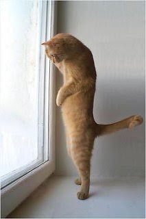 若作りor背伸びしている方!