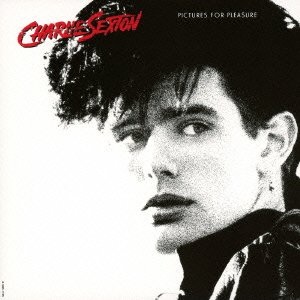 初めて夢中になった洋楽スターは？