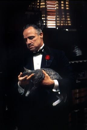 何度見ても飽きない映画