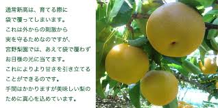 上等なもしくは本場の味を知ってびっくりしたもの