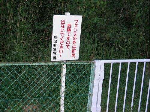 なぜ誰も突っ込まない？と思うこと