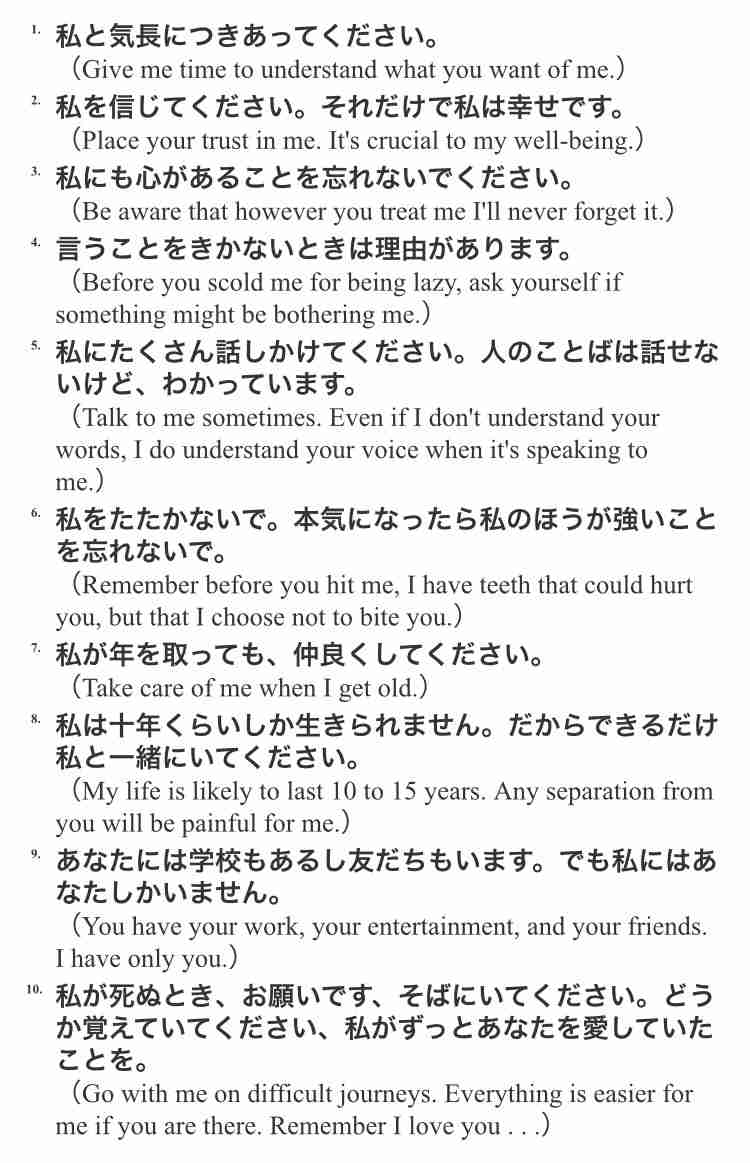 犬を家族に迎える前に、教えてもらえませんか?