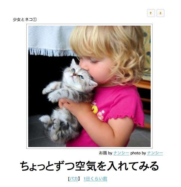 最近癒された画像を貼るトピ