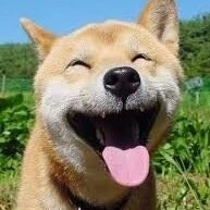 最近癒された画像を貼るトピ