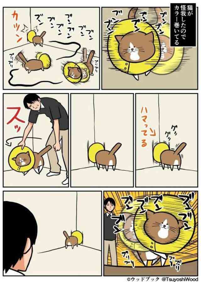 最近癒された画像を貼るトピ