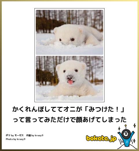 最近癒された画像を貼るトピ