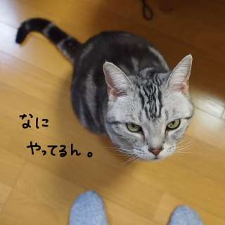親にされて嫌だったこと