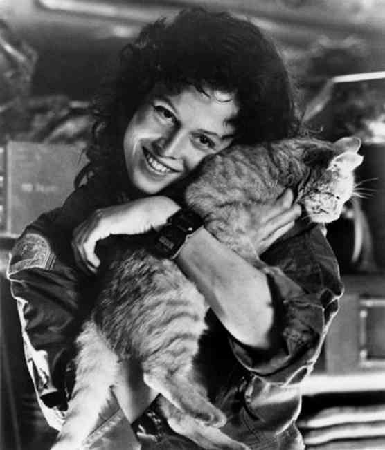 猫の出てくるオススメ映画