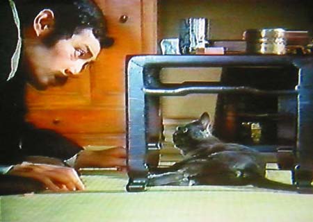 猫の出てくるオススメ映画